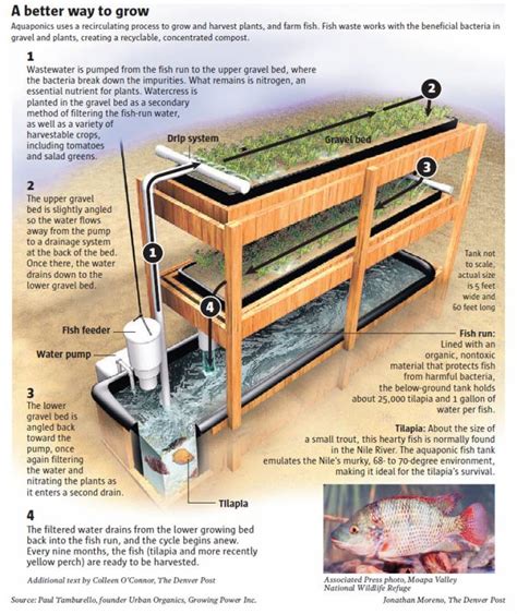 Solar Powered Aquaponics Greenhouse Dome Vertical Garden