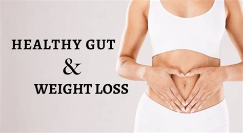 The Connection Between Our Gut Health And Weight Loss