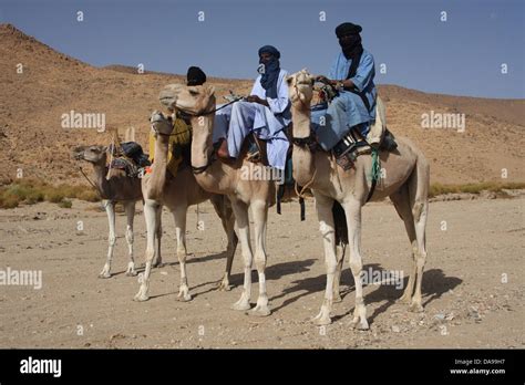 Algeria Africa North Africa Desert Stone Desert Rocky Desert