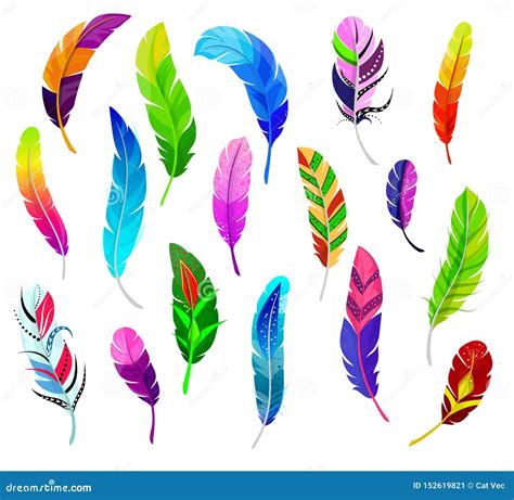 Feather Vector Fluffy Feathering Quil And Colorful Feathery Birds Plume