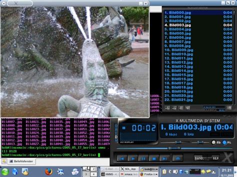 xmms picture viewer input plugin