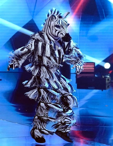 5 Theories About The Zebra On 'Masked Dancer'