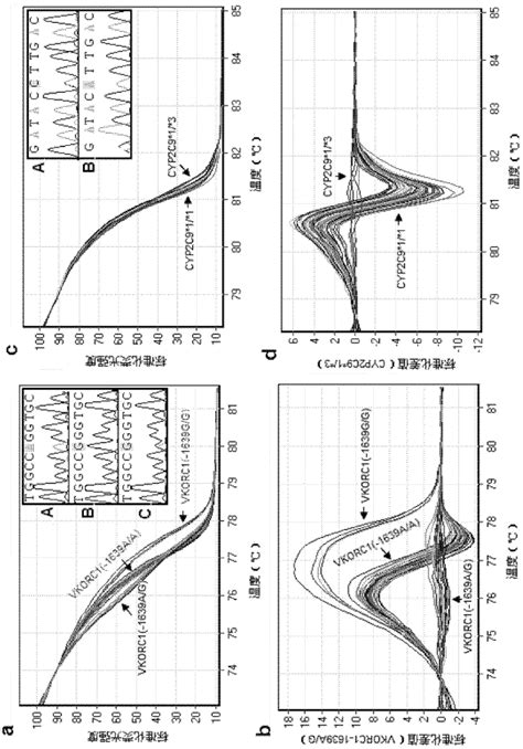 Quick genotyping method for guiding Warfarin utilization starting dose