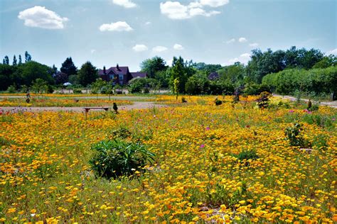 2023 – West Holme Gardens – Corfe Mullen Gardening Club