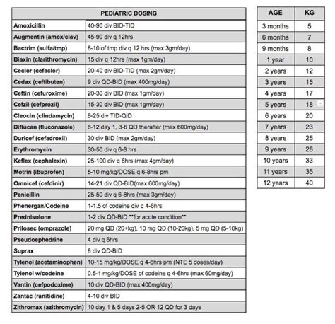 Liquid Amoxicillin For Cats Dosage Chart