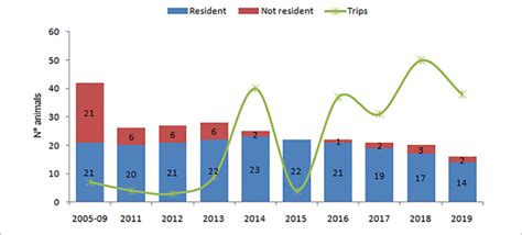 2022 Dolphin Population Graph