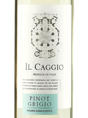 Il Caggio Pinot Grigio Vivino Brasil