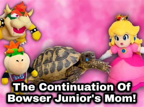 The Continuation Of Bowser Juniors Mom Sml Fanon Wiki Fandom