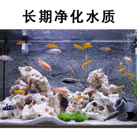 水族箱em菌净水剂硝化细菌鱼缸水质稳定剂净化剂除氯水安定硝化菌虎窝淘