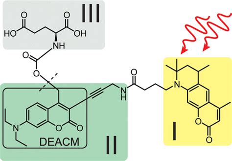 The Journal Of Physical Chemistry Letters X Mol