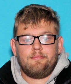 Colten Matthew Dillon A Registered Sex Offender In FENNVILLE MI 49408