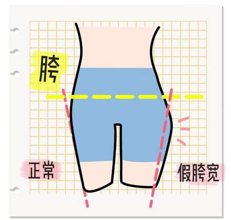 腰和胯的位置示意图 两胯的位置图 腰四腰五的位置示意图 大山谷图库