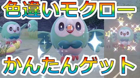 みんな大好きモクロー色違い厳選！！【ポケモンsv】【色違い】【モクロー】【センタースクエア厳選】 Youtube