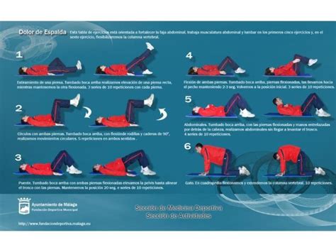 Lumbalgia Ejercicios Para Reducir El Dolor Dolor De Espalda Ejercicios Musculatura Abdominal