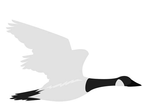 Goose 36655614 Vector Art At Vecteezy