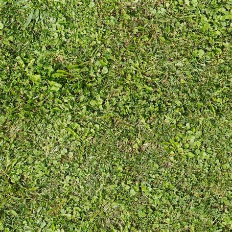 Grass Texture Seamless Stock Photos Royalty Free Grass Texture