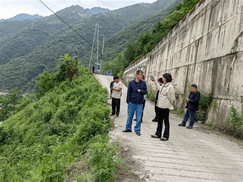 百里绿色生态产业长廊 余莉率队调研福贡县百里绿色生态产业长廊建设工作推进情况 龙竹 种植 发展