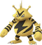 Pokemon Let's Go Electabuzz | Moves, Evolutions, Locations and Weaknesses