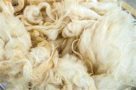 Premium Photo | Sheep wool wool pictures make quilts and pillows with natural wool