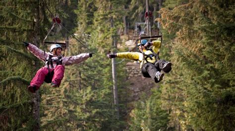 Zipline Tours - Whistler BC | Tourism Whistler