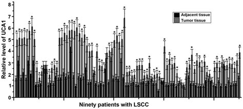 LncRNA UCA1 Promotes Cell Proliferation Invasion And Migration Of