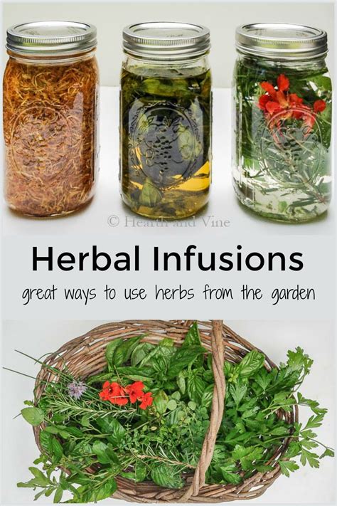 Herbal Infusions How To Make Infused Oils And Vinegar For Cooking