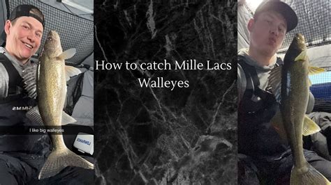 How To Catch Mille Lacs Walleyes Youtube