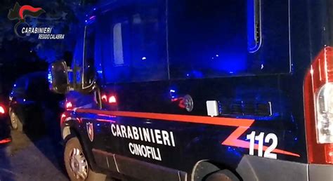 Le Mani Della Ndrangheta Su Politica Usura E Armi Arresti