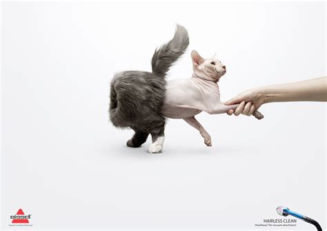 20 Ejemplos Publicidad Impactante ComoYoDSG