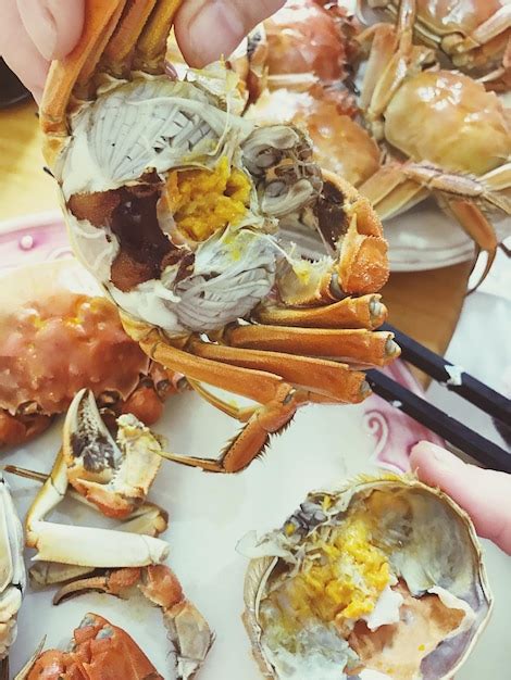 Premium Photo Cropped Hands Of Person Holding Food