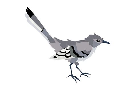 Texas State Bird - Northern Mockingbird SVG Cut file by Creative