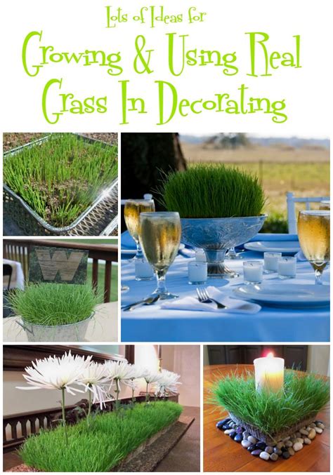 Growing And Using Real Grass In Decorating Growing Grass Grass Centerpiece Wheat Grass Centerpiece