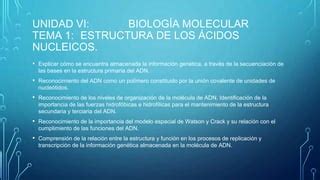 Biología Molecular ácidos nucleicos PPT