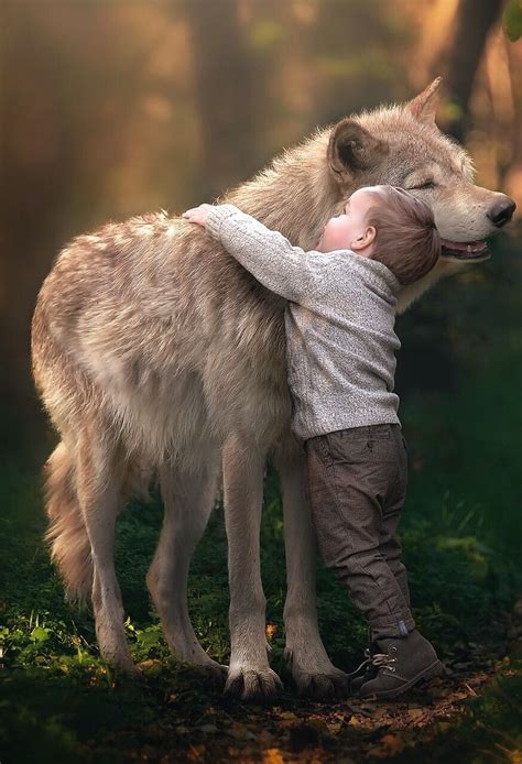 Animals For Kids Animals And Pets Baby Animals Cute Animals Wolf