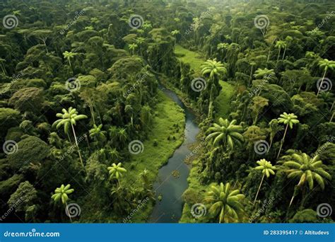 Lush Green Amazon Rainforest From Above Stock Image Image Of Trees