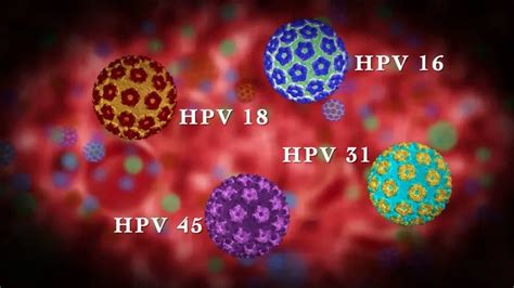 HPV Symptoms, Treatment, Vaccine, HPV in Men and Women