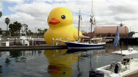 Giant rubber duck's move causes concern - ABC13 Houston