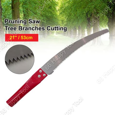 cm pruning tree  cutting branches garden outdoor branch