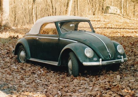 Thesamba Beetle Split Window Vws View Topic