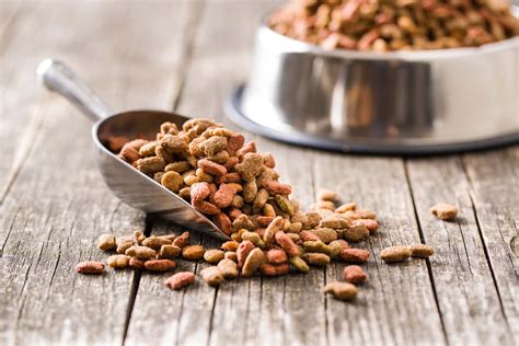 Introducing The New Model Pet Food And Specialty Pet Food Regulations