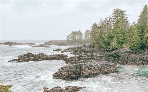 Top 5 Things to Do in Ucluelet, BC - Wild North