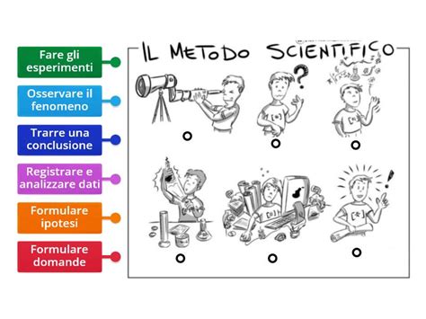 Fasi Del Metodo Scientifico Diagrama Con Etiquetas