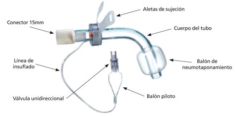 Tipos De Canulas De Traqueostomia Buy Prices Gbu Taganskij Ru