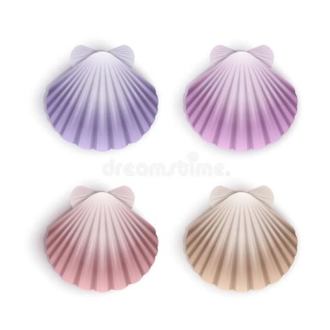 Set Of Scallop Seashells Vector Seashells Of Cartoon Style