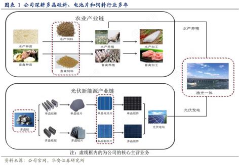 公司深耕多晶硅料、电池片和饲料行业多年行行查行业研究数据库