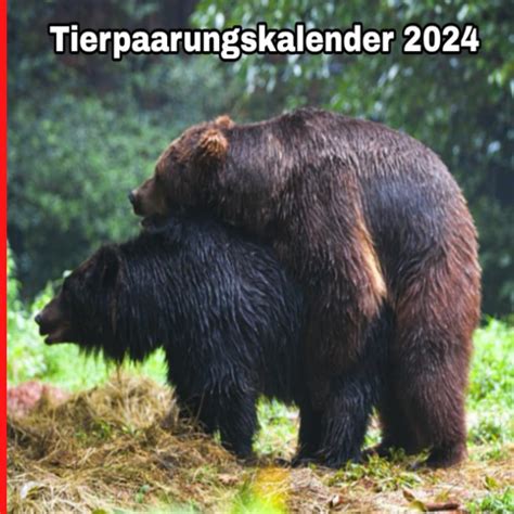 Tierpaarungskalender 2024 Kackende Tiere Kalender 2024 Kalender 2024