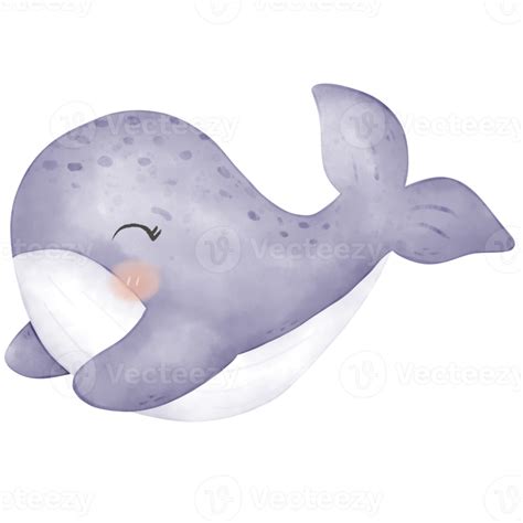 cute baby whale 12414719 PNG