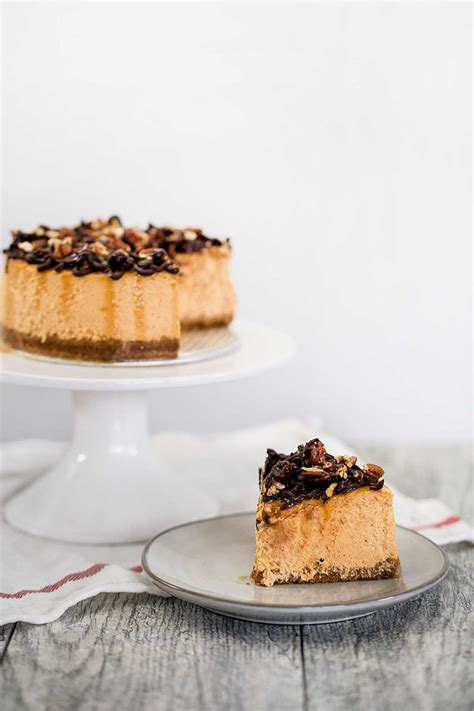 Pumpkin Turtle Cheesecake Obsessive Cooking Disorder