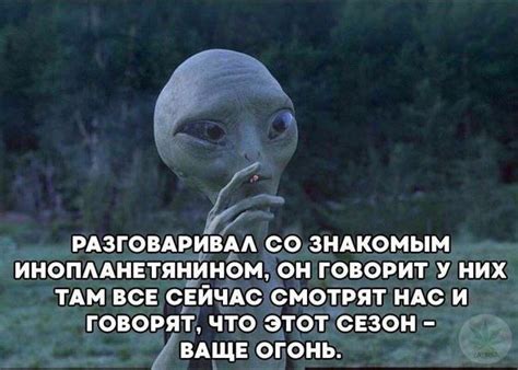 Про Урсулу и Олофа | ПравдаИнформ