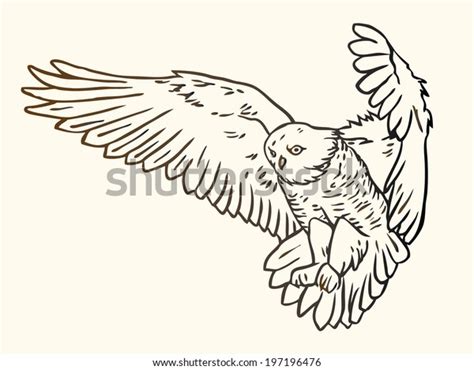 Black White Contour Illustration Flying Owl Stock Vector Royalty Free